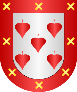 ESCUDO ALEATORIO